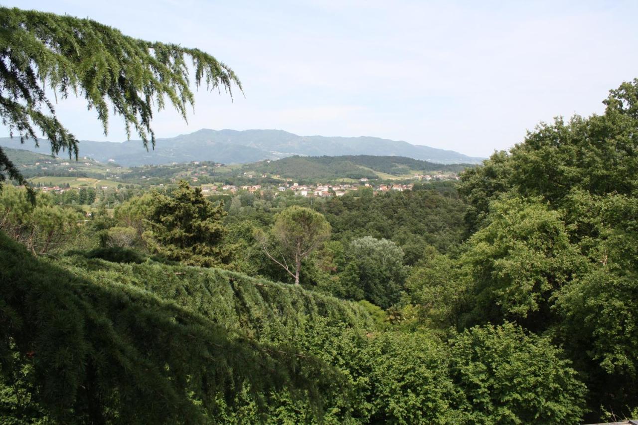 Villa "L'Unica " Lucca Kültér fotó